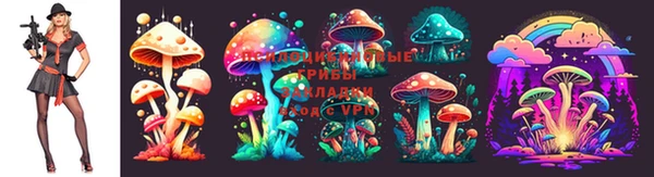 герыч Волоколамск