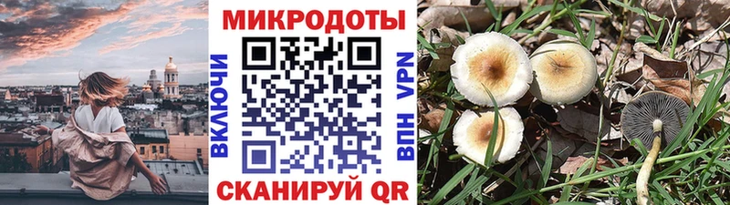 Псилоцибиновые грибы мицелий  Осташков 